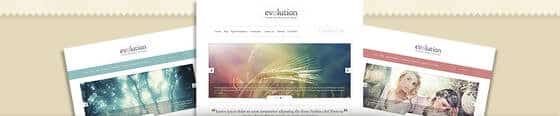 Evolution WordPress Theme