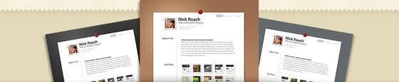 MyResume WordPress Theme