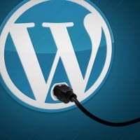 Wordpress Plugins
