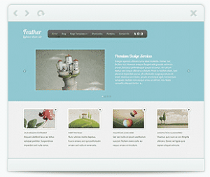 feather wordpress porfolio theme by elegant theme