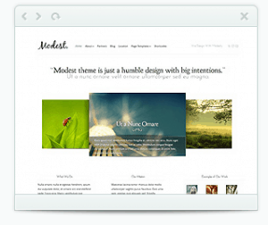 modest wordpress porfolio theme by elegant theme