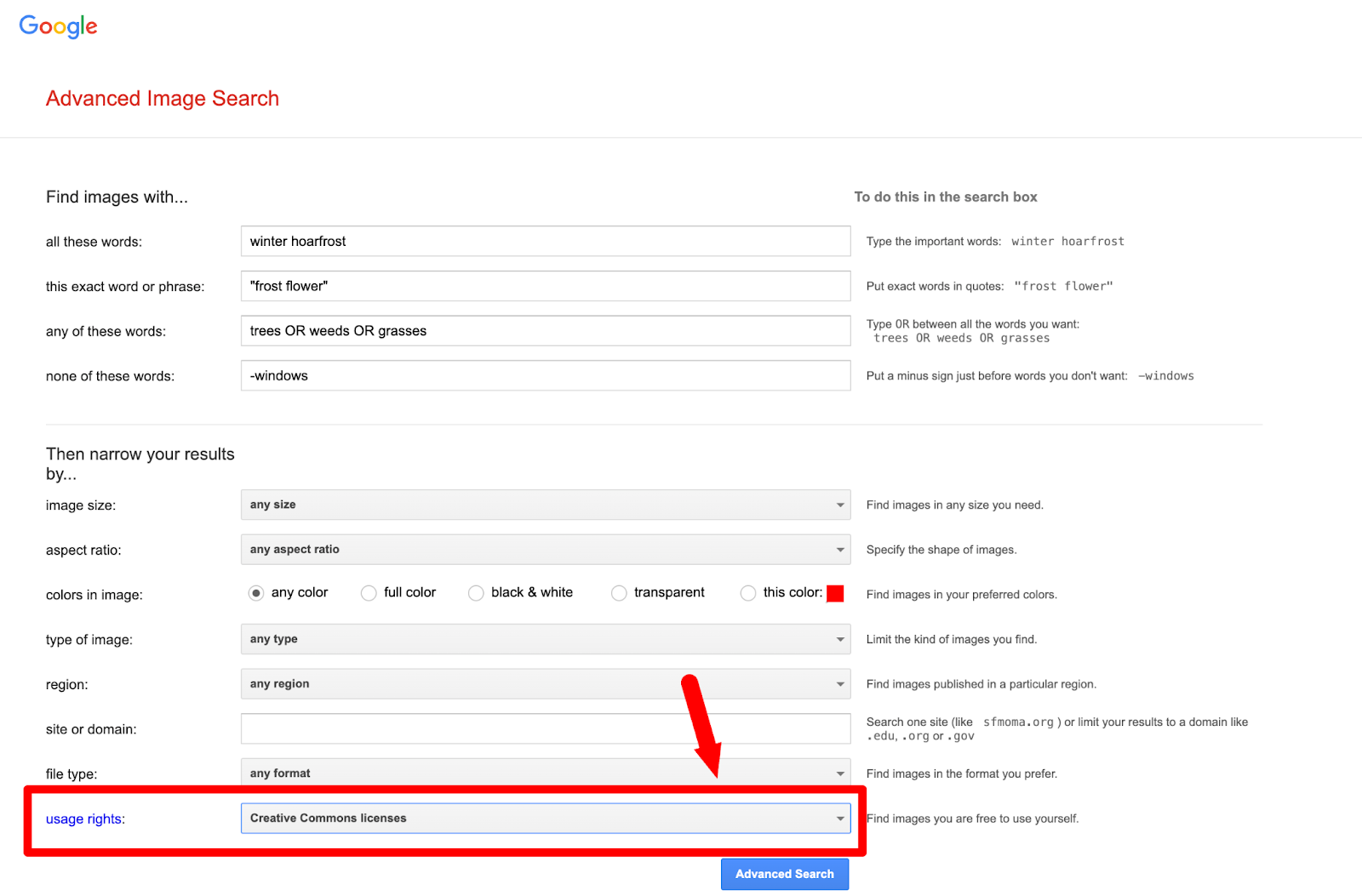 Advanced Image Search