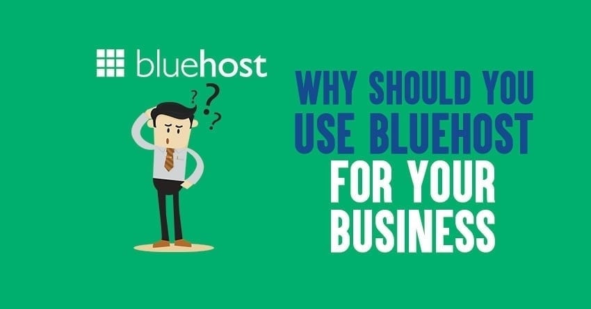Why use Bluehost for business websites