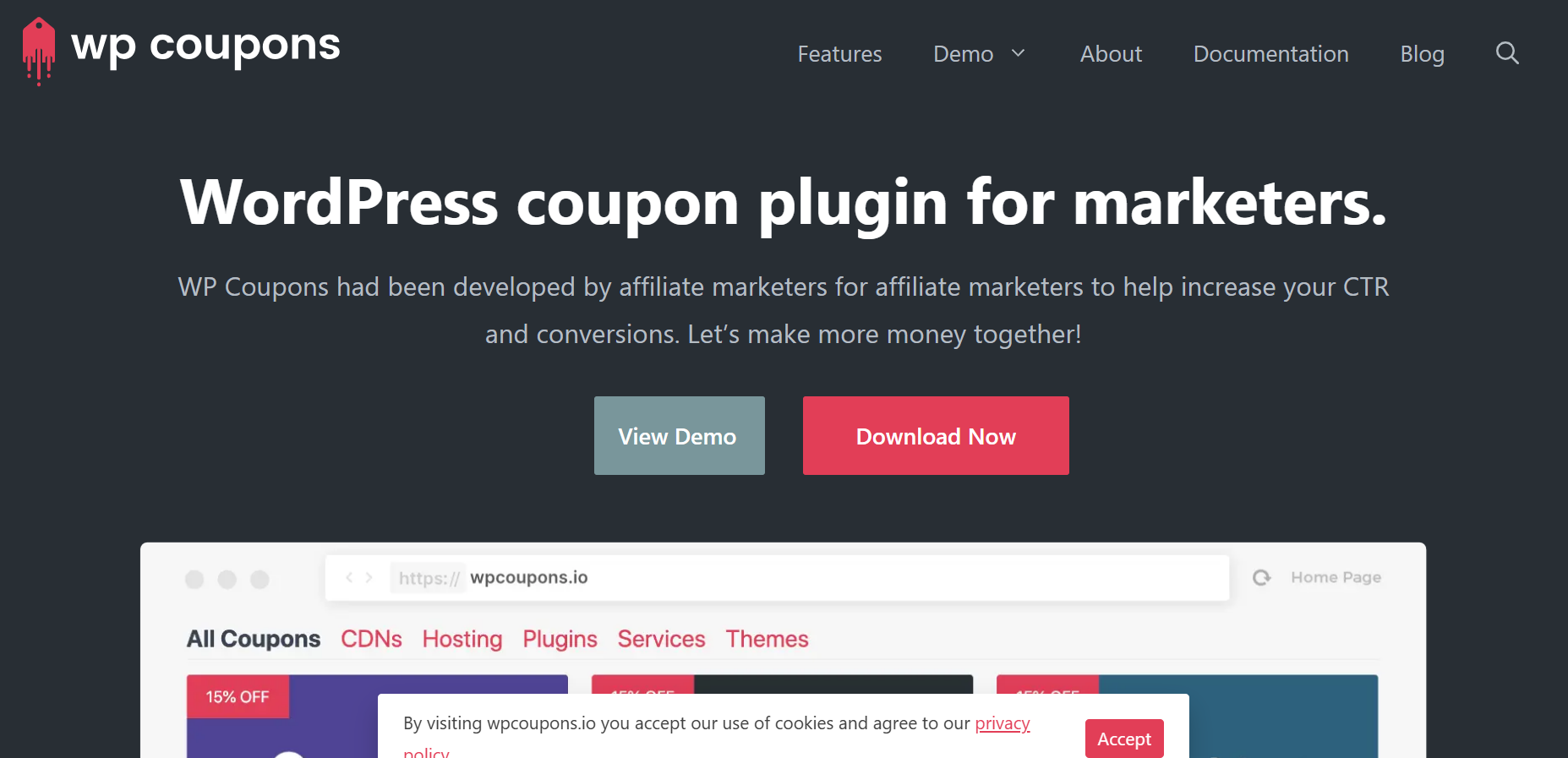 WordPress Coupon Plugin
