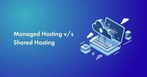 Managed Hosting vs Shared Hosting: Which Is Better Among Them?