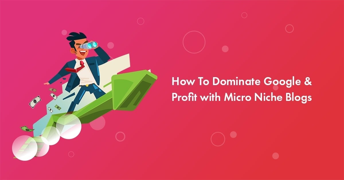 Dominate Google And Profit With Micro Niche Blogs