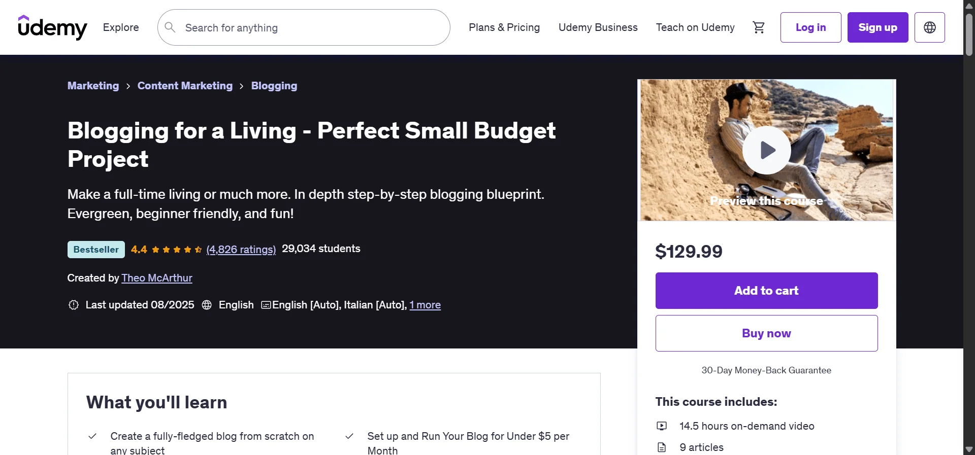 small budget project udemy