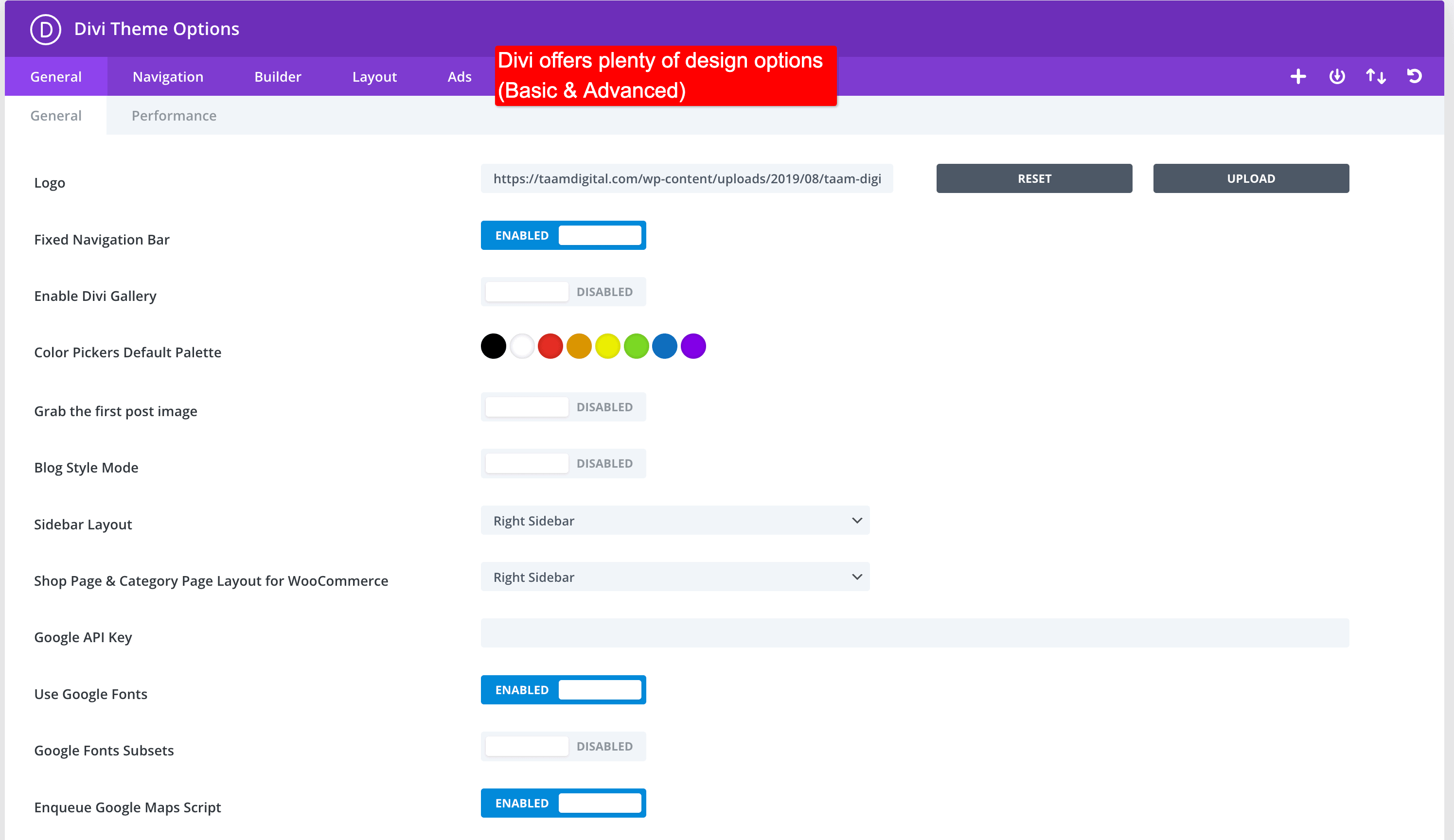 design options in divi