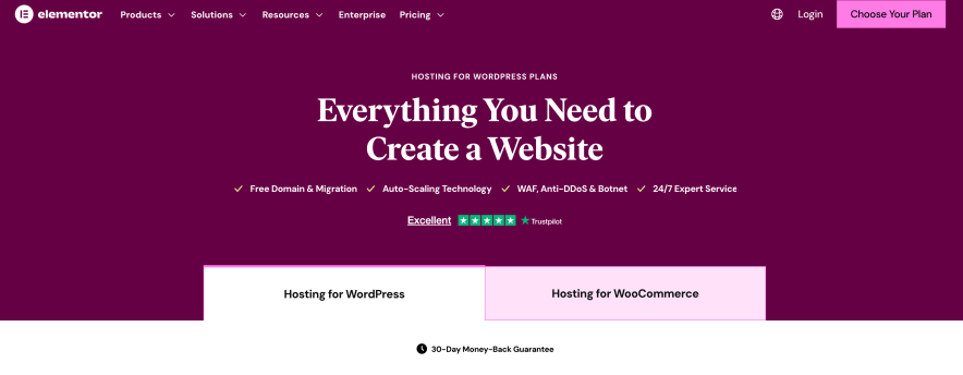 Elementor WordPress Hosting- Best for Beginners Who Want a Drag-and-Drop Website Builder & Hosting Bundle