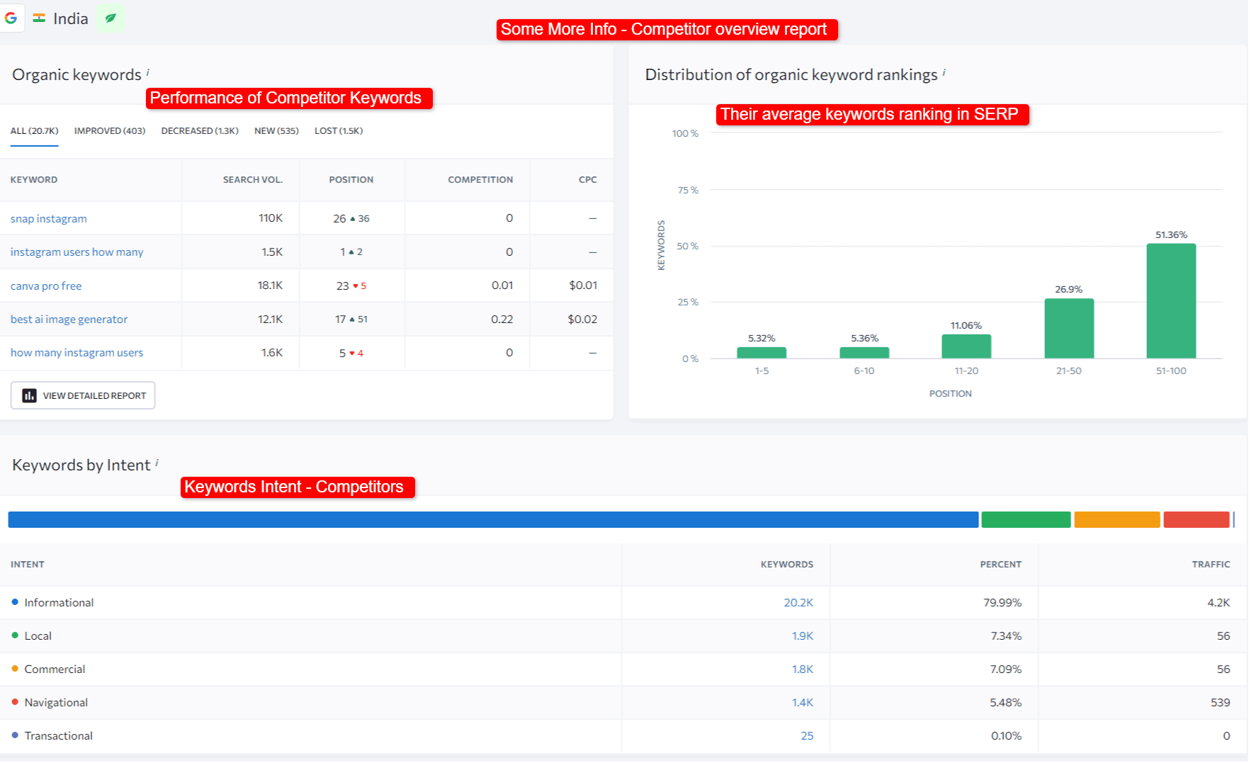 some more info - competitor overview report