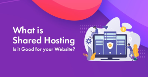 What Is Shared Hosting? Ultimate Beginner’s Guide