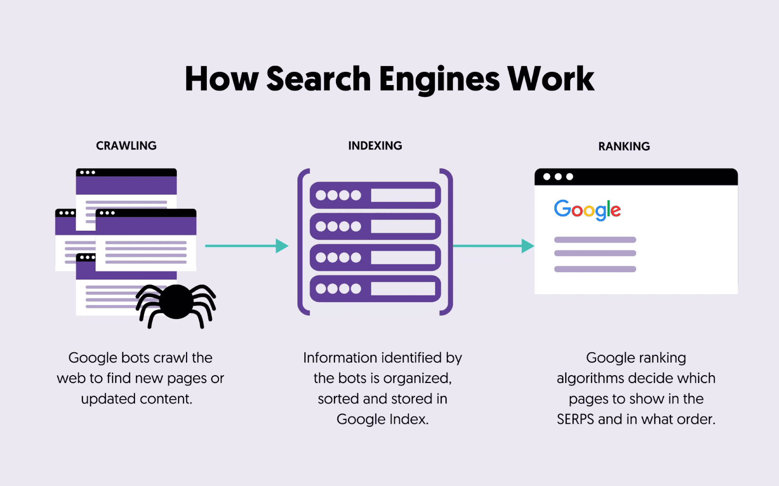 how search engine works