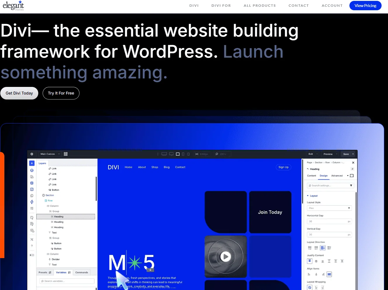 DiVi Page Builder
