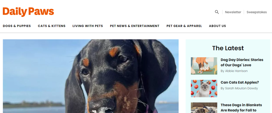 Pet News and Pets in Entertainment