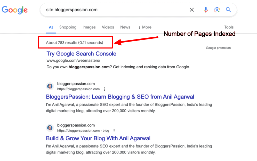 How many pages are indexed in Google for a website