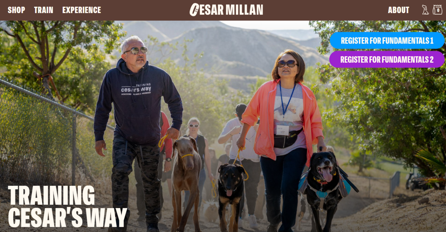 15 HighPaying Pet Affiliate Programs for 2024 (Top Rated)