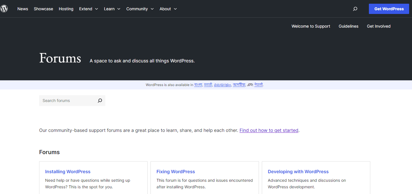 WordPress Support