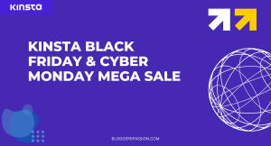 Kinsta Black Friday Deal