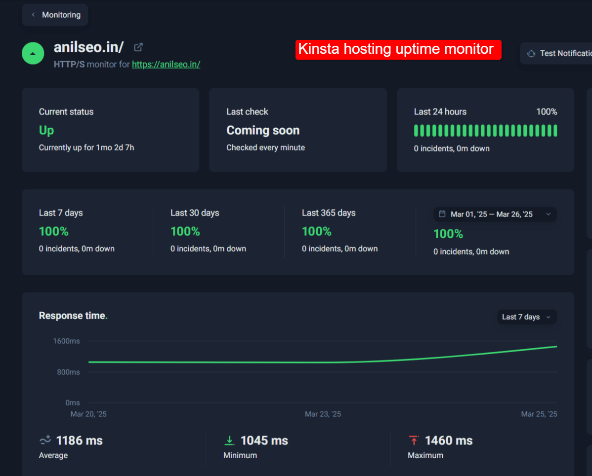 kinsta hosting uptime result