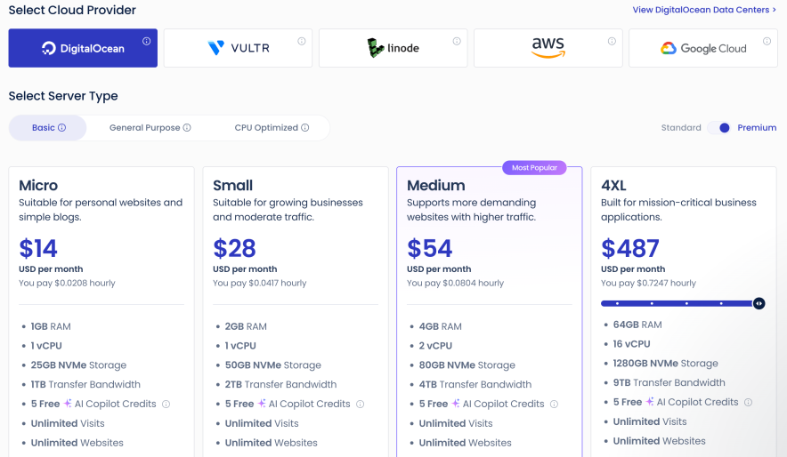cloudways agency hosting