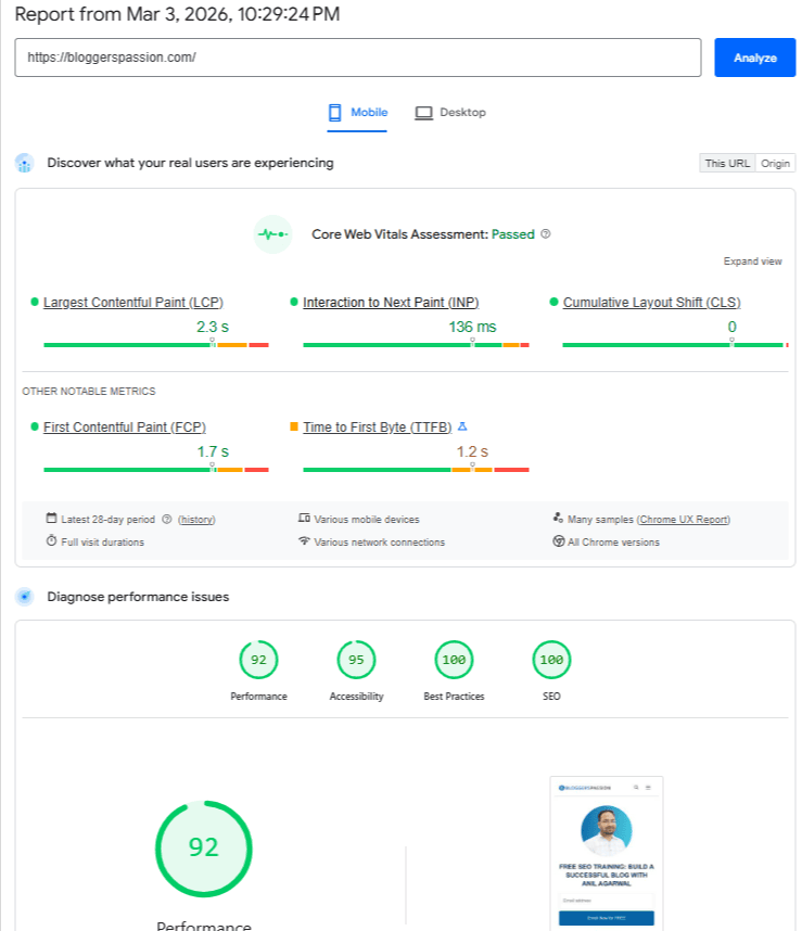 PageSpeed Insights Report PageSpeed Insights Report