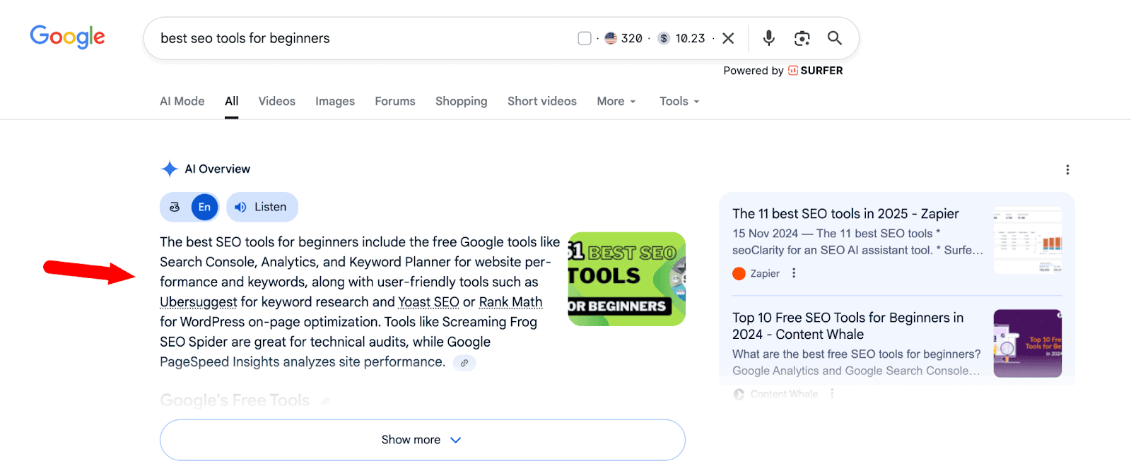 Google AI overviews