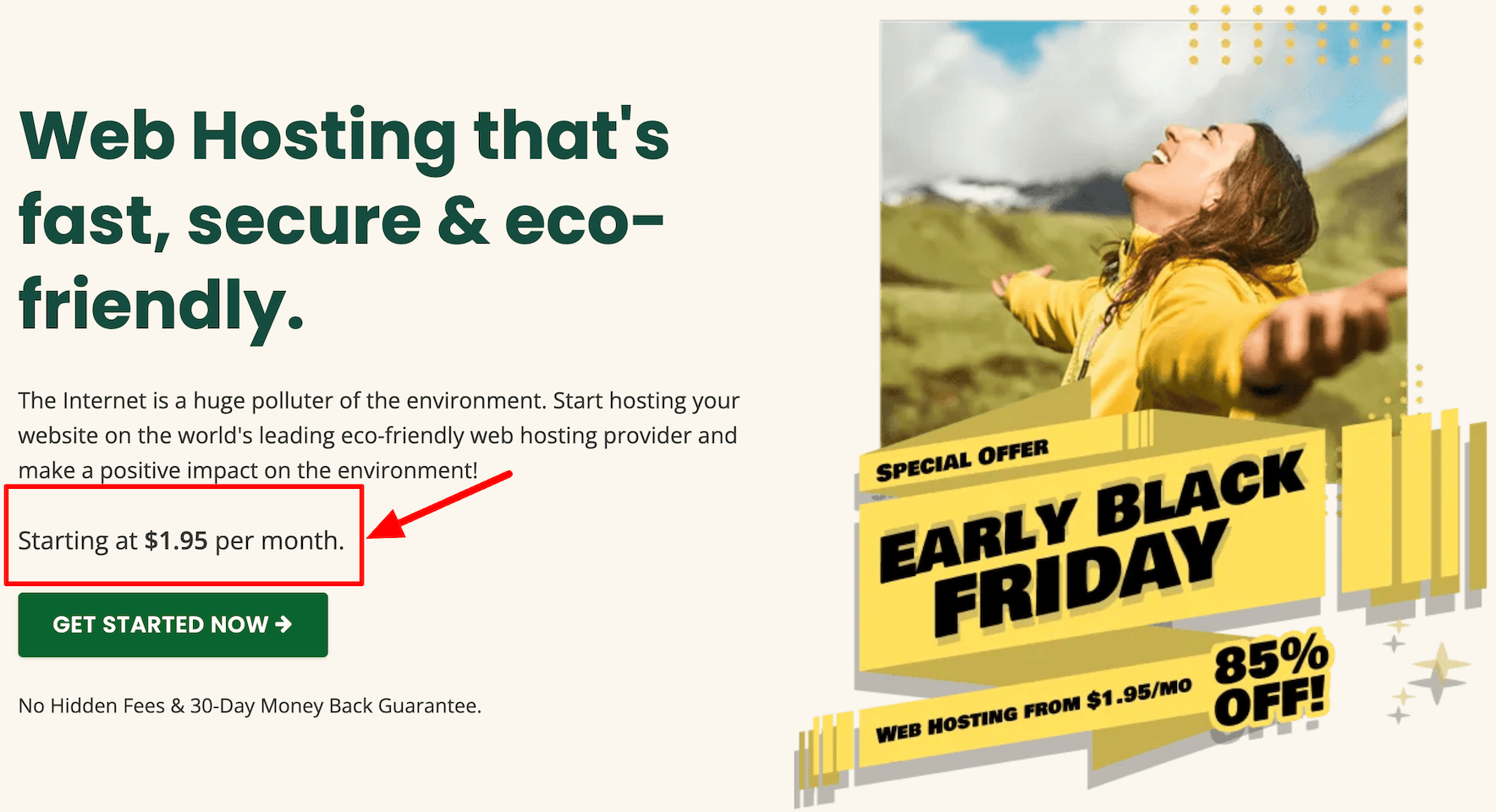 greengeeks black friday offer